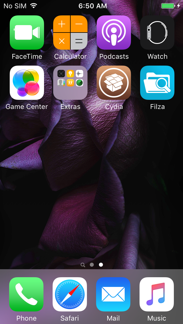 Homescreen with Cydia